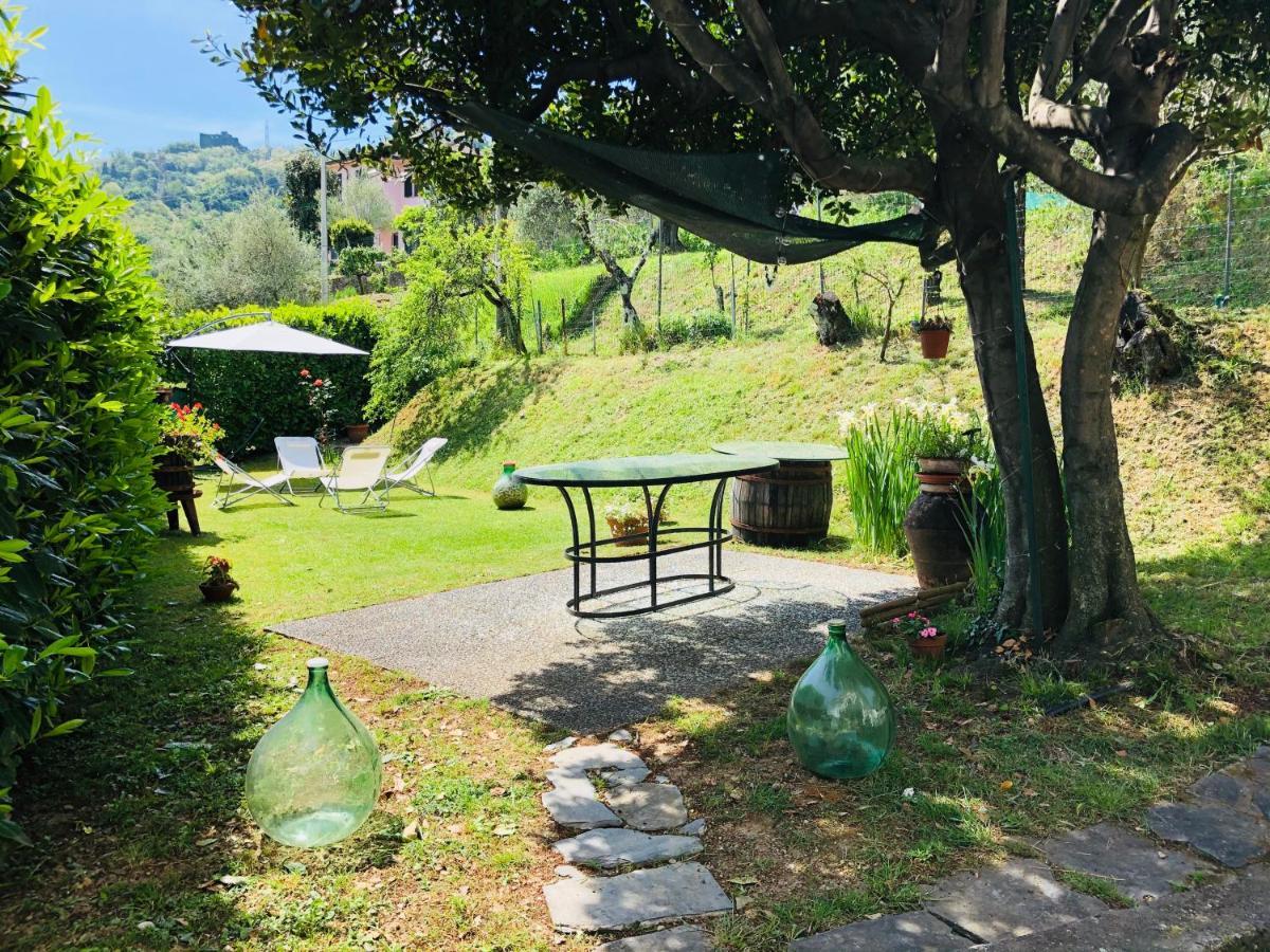 La Collina Di Albiro Affittacamere อาร์โคลา ภายนอก รูปภาพ