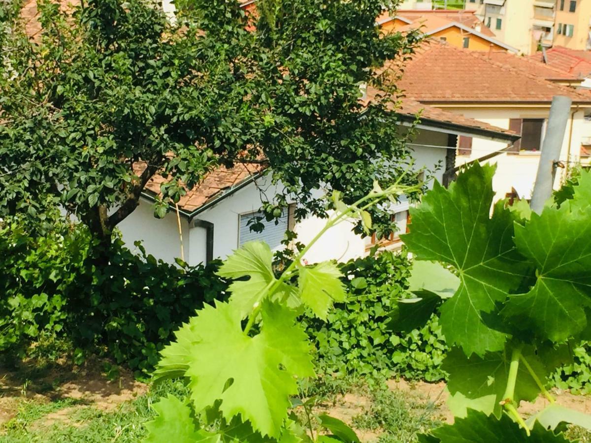 La Collina Di Albiro Affittacamere อาร์โคลา ภายนอก รูปภาพ